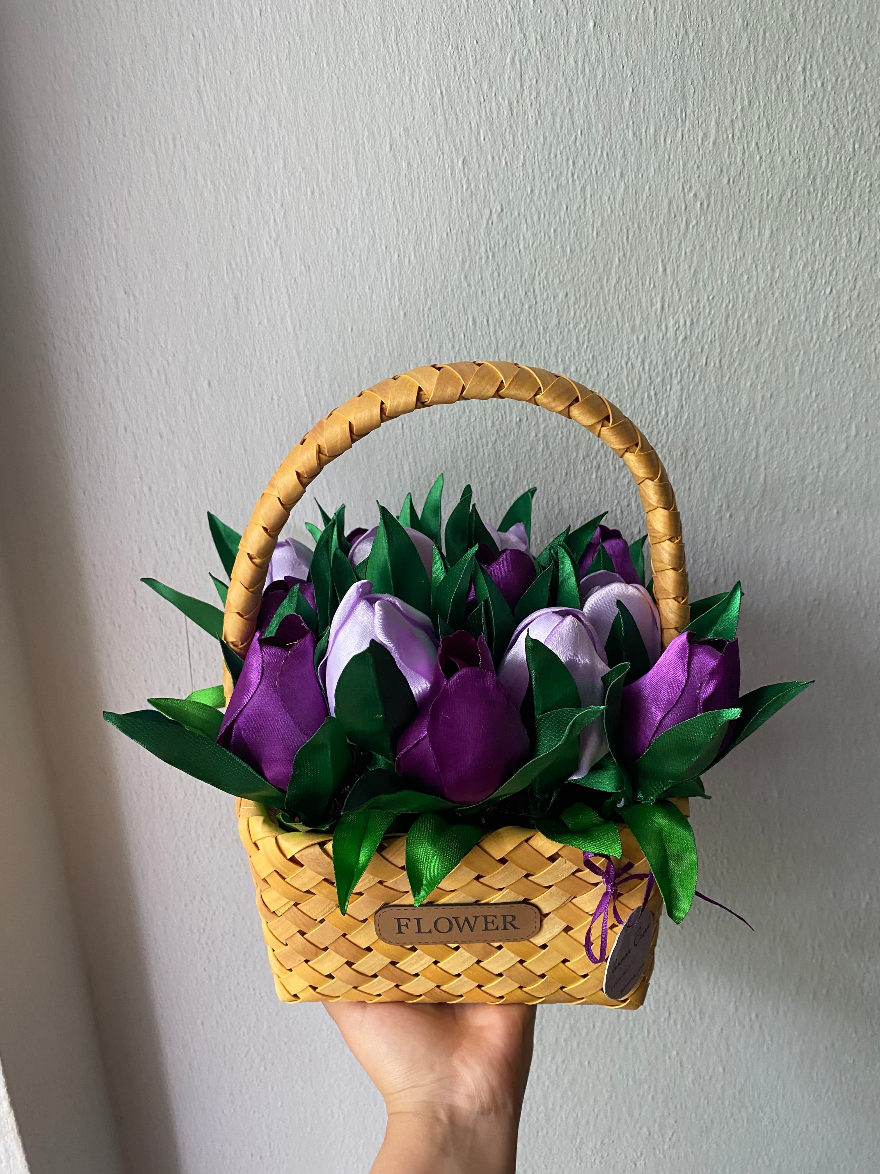 Saksı Çiçekleri